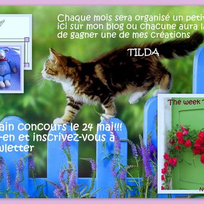 JEU .♥*`¯`*♥ The WeeK TiLda ♥*`¯`*♥