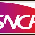 Le patron de la SNCF met son « mandat à la disposition du gouvernement »