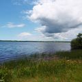 Une balade pédagogique au Lac de LEON (suite)...