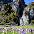 LE PLATEAU DE SANCHESE (64)