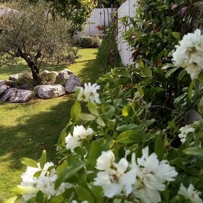 ❦  APRES LA PLUIE, DETENTE AU JARDIN  ❦