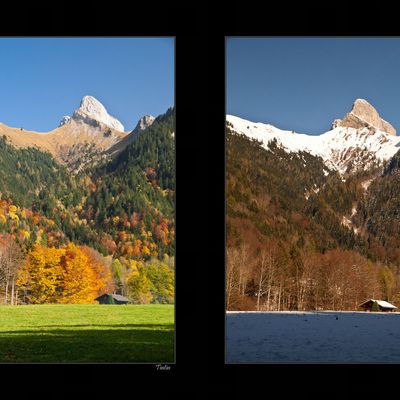 Une semaine plus tard