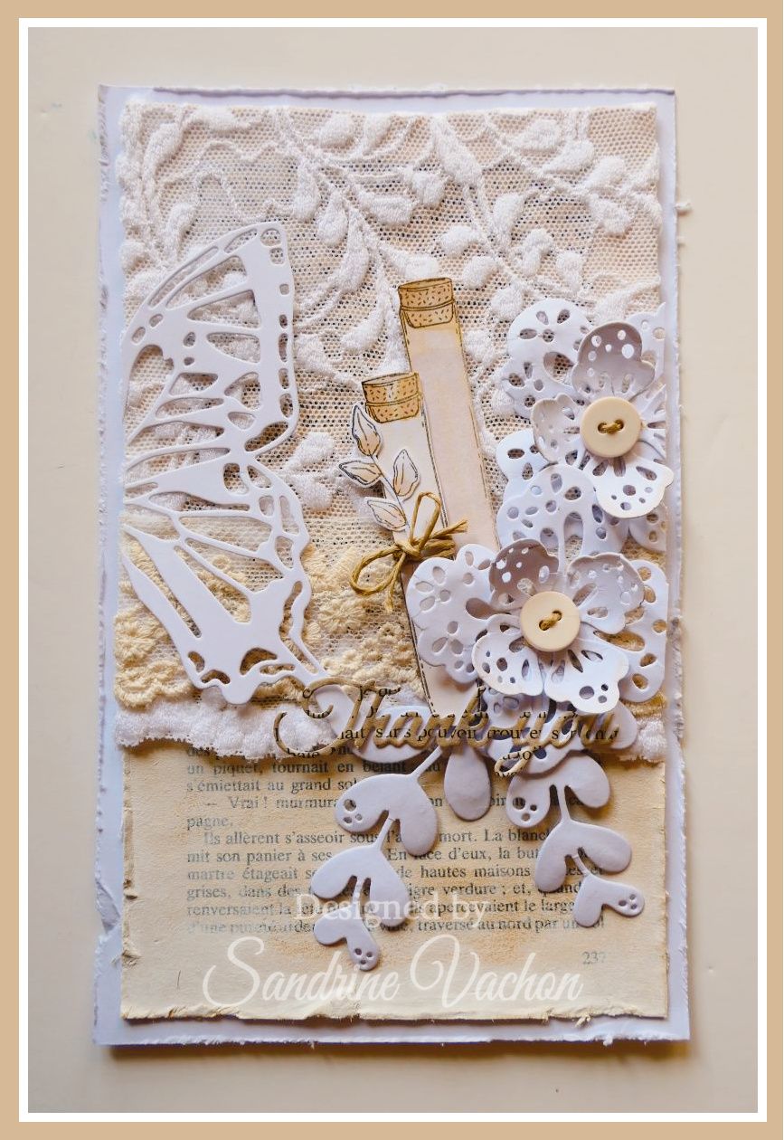 Sandrine VACHON 913 PCC (1)