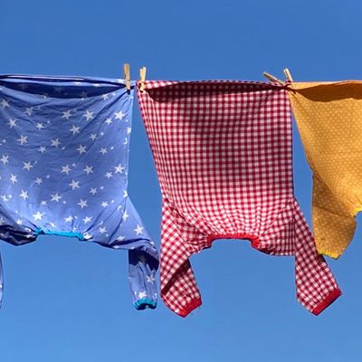 Lettres aux parents des Moyens et des Grands 