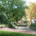 L'AUTOMNE AU JARDIN... LA VOIE ROMAINE...