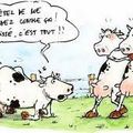 LA VACHE FOLLE : MORT AUX VACHES !