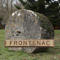20110108 Frontenac