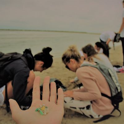 Nettoyage de plage 