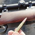 Le 308 Winchester et ses "enfants"