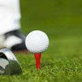 18ème Tournoi de Golf de la Cage aux Sports de Gatineau