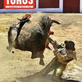 TOROS EST EN VENTE