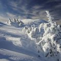 Rando pédestre Ventoux reportée