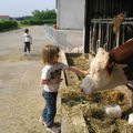 La Drôme de Ferme en Ferme : 26 et 27 avril 2008