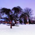 l'hiver au parc LEBLANC