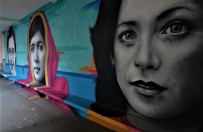  Street art A L'Ecole   st etienne  EV 42 2019   "ZABOU"  Londre (GB)