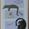 Des chats pour un anniversaire