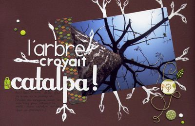 L'arbre qui se croyait catalpa... & co