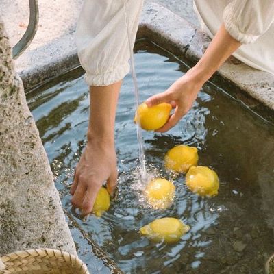 SOUS L'OLIVIER, LE CLAPOTIS DES CITRONS