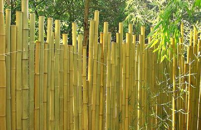 Présentation de notre gamme de clôtures en bambou en hauteur 250 cm