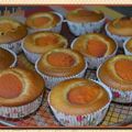 Muffins aux abricots