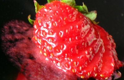 Mais bien-sûr que je la ramène ma fraise...