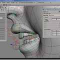 Atelier : Infographie 3D -  Setup Rigging -  XSI