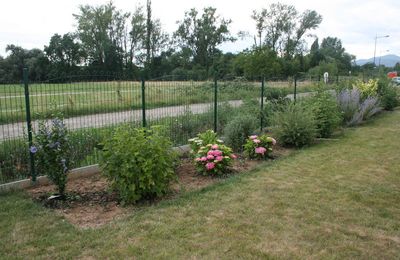 L'été au jardin...