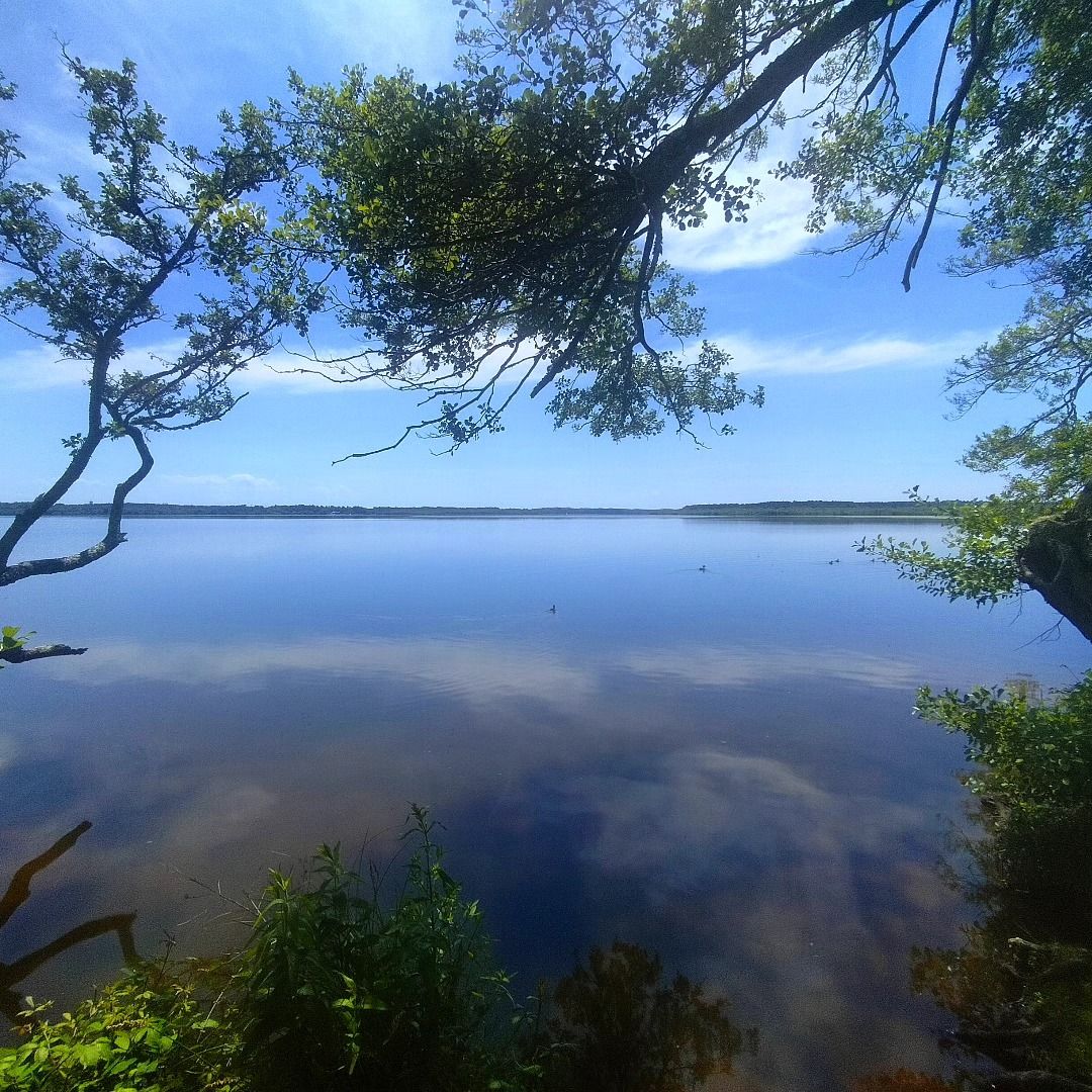 Azur, bord d'étang et verdure, mai 2025, insta (40)