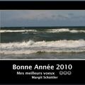 BONNE ANNÉE 2010