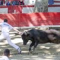 2ème journée du Gland d’Or à Montfrin