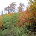 COULEURS D'AUTOMNE ENTRE LE COL DE BUSSANG ET LE STERNSEE