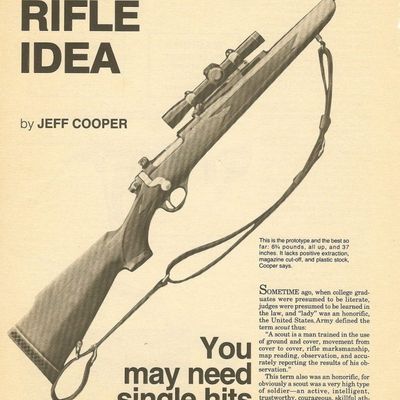 "Scout rifle" : le fusil d'usage général...dont personne n'a besoin ?
