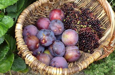 Le temps des confitures! Confiture de prune aux baies de sureau et à la badiane