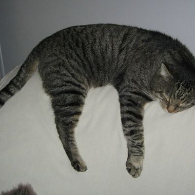 vacances ............