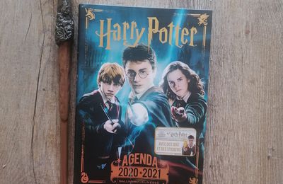 Harry Potter /Agenda scolaire 2020-2021: un agenda scolaire pour les Moldus et tous les autres....