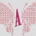 FRAME LYDEE.PINK.papillon dentelle et lettre*