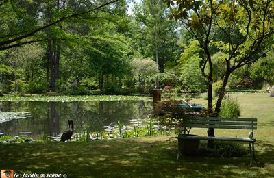 Balade dans un jardin privé au coeur de la Sologne
