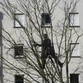 Le printemps au square Simone Morand à Rennes le 11 avril 2017