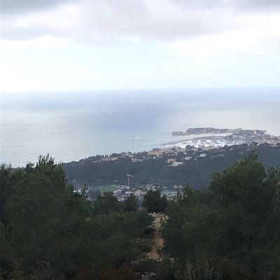 Sortie nature Bien Etre le mardi 10 février 2026 après-midi