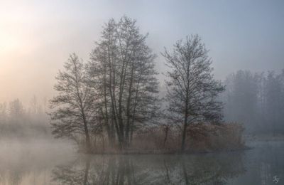 Sérénité ouatée d'un petit matin brumeux