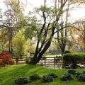 Jardin de ville de Vienne - Novembre 2024.