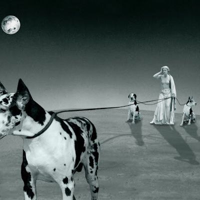  Alfonso Brezmes- Espagne