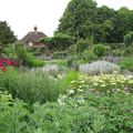 L'abbaye de Mottisfont, promenade dans le plus célèbre jardin de roses anciennes d'Angleterre...