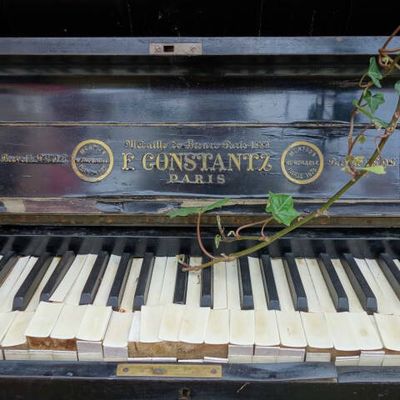 Non, vous ne rêvez pas...