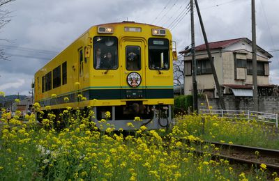 Erebos Tour 2023 - 7 : Isumi Railway