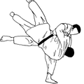Le Judo