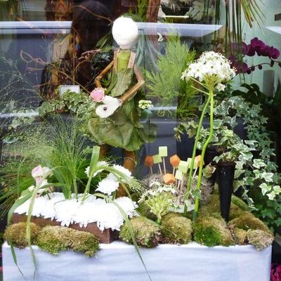 Festival des marionnettes: les vitrines dans Charleville (2)