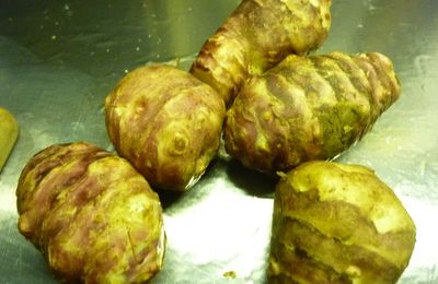 TOPINAMBOURS A LA CREME --- JERUSALEM ARTICHOKES