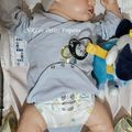 DIEGO du Kit de Karola Wegerich    VENDU
