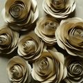 Roses de Kraft...